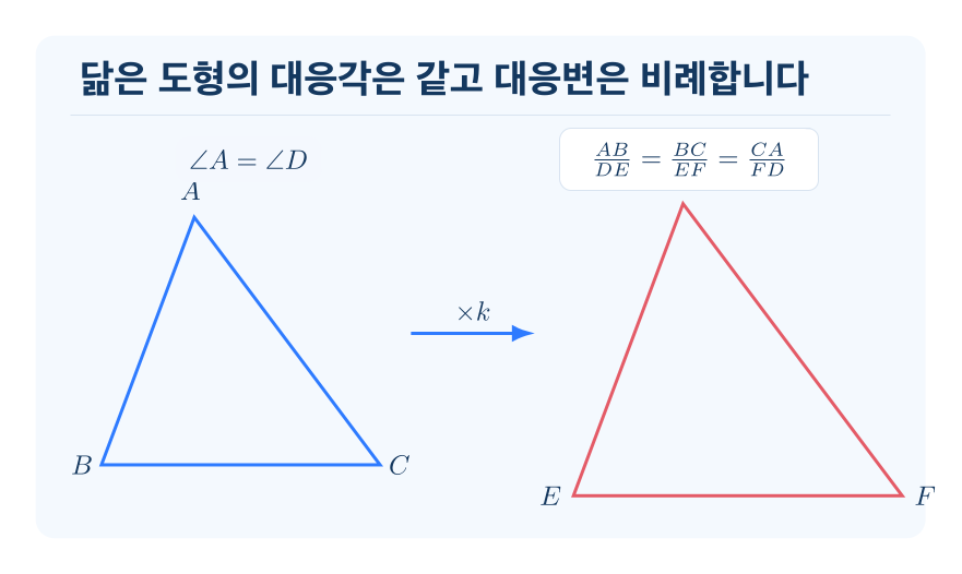 도형의 닮음 개념을 설명하는 수학 도식
